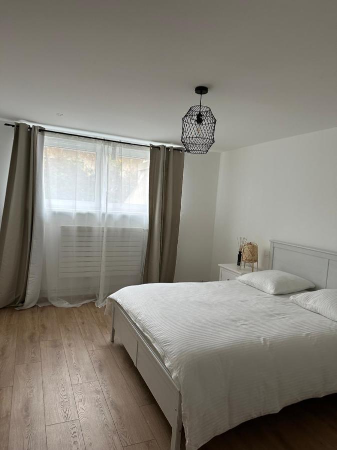 Joli Appartement Dans Une Maison Remise A Neuf Mittelhausbergen Esterno foto